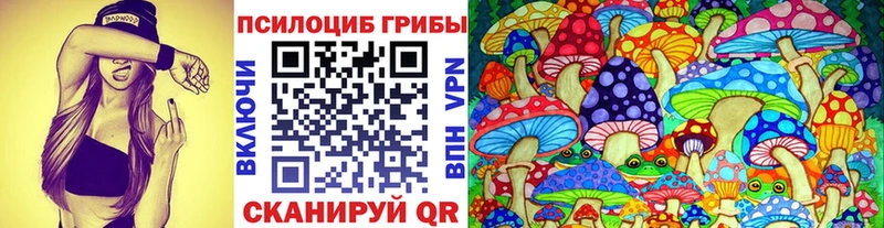купить закладку  Лабинск  Псилоцибиновые грибы мицелий 